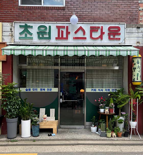 초원파스타운 사진